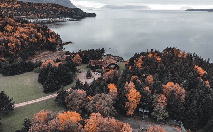 办移民找哪个中介